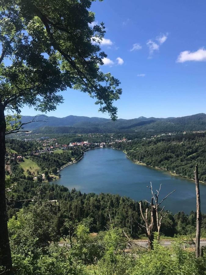 Apartament Apartman Patricia Fužine Zewnętrze zdjęcie
