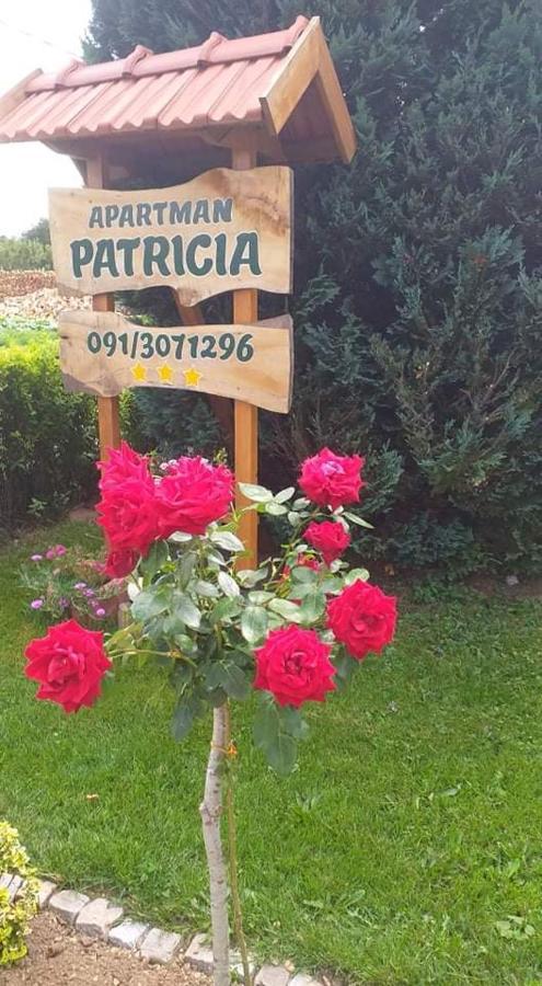 Apartament Apartman Patricia Fužine Zewnętrze zdjęcie